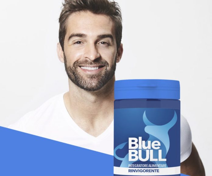 BLUE-BULL